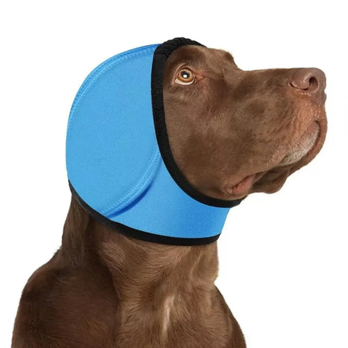 Calming ear wrap for dogs in Lake Blue