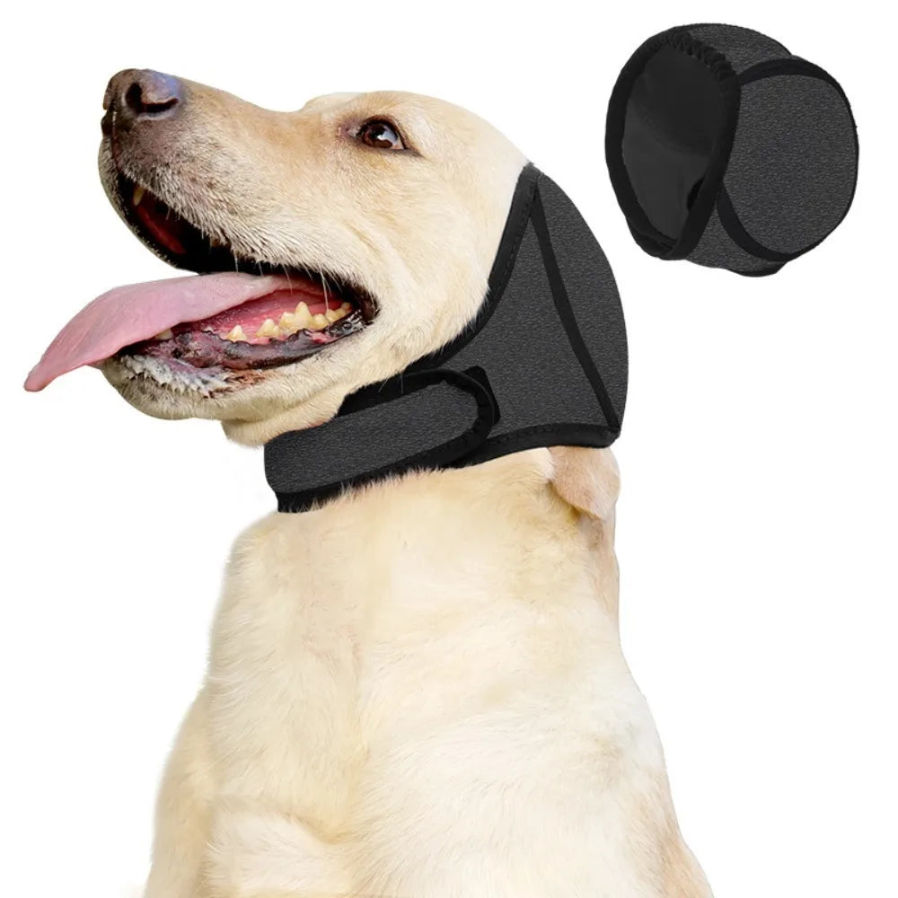 Dog wearing a black calming ear wrap, with a spare wrap