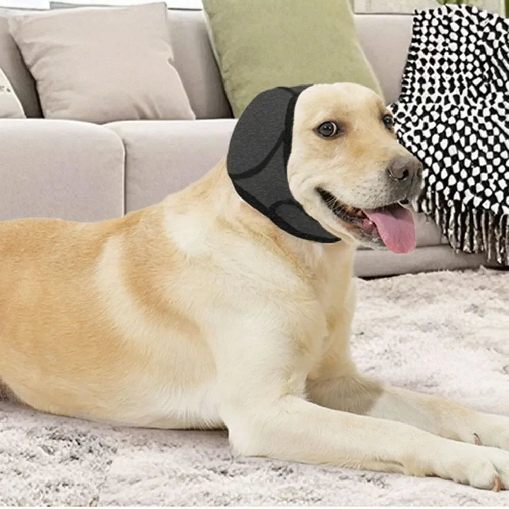 Dog relaxing on a sofa wearing a black calming ear wrap